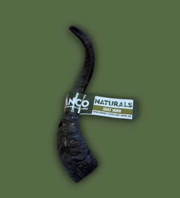 Anco goat horn