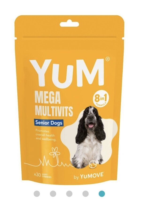 Yum multivits senior
