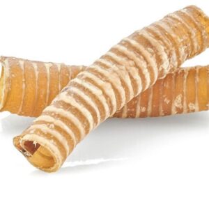 Single 15cm beef trachea