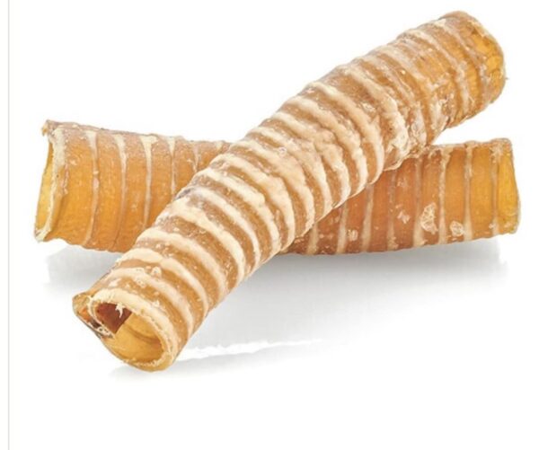 Single 15cm beef trachea