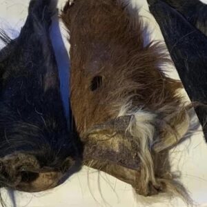 Hairy buffalo ears