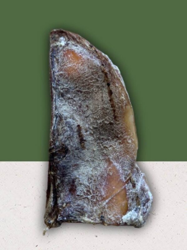 Anco/ Burns moon bone - Image 3