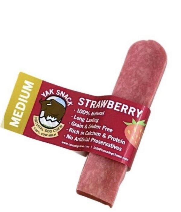 Medium Strawberry Yak