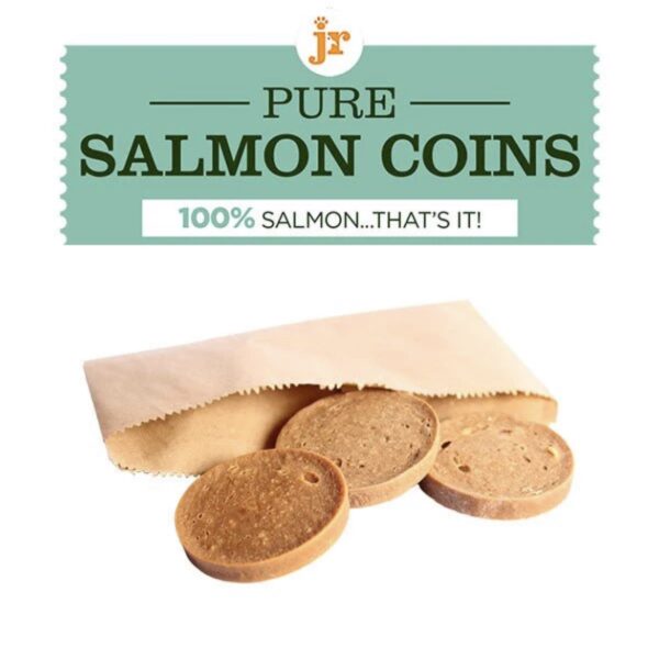 jR salmon coin ( single)