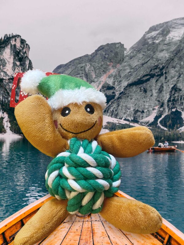 Gingerbread man rope plush dog toy GREEN - Image 2