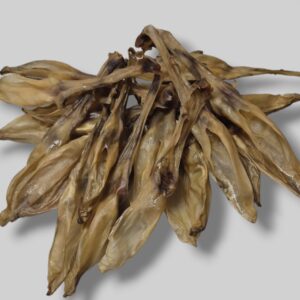 100g rabbit ears no fur