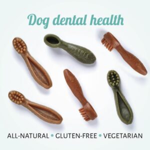 7cm nova toothbrushes