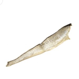 Giant fish skin flat (@40cm)